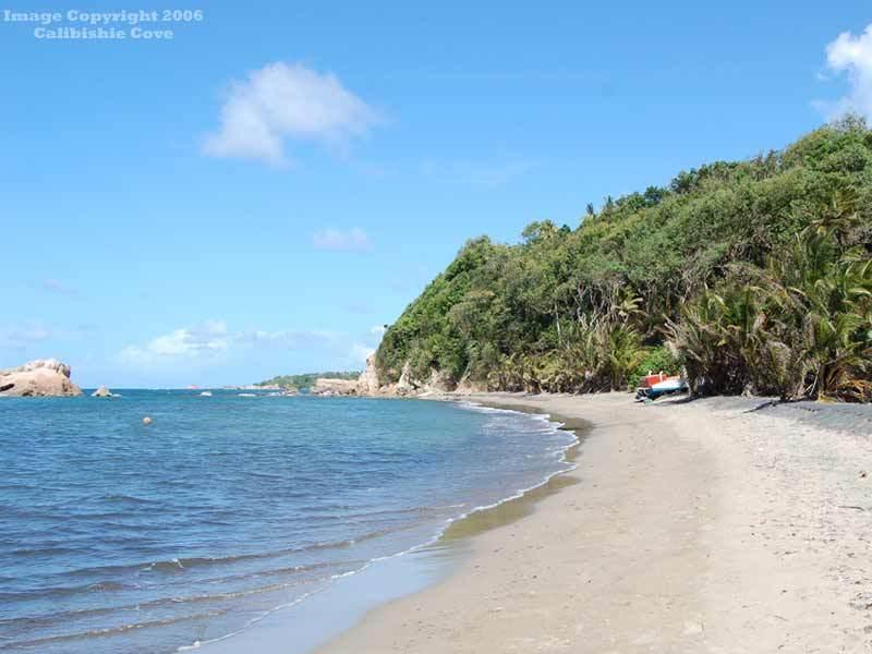 Hotel Calibishie Cove Udogodnienia zdjęcie